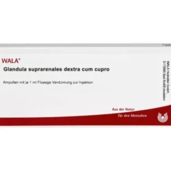 GLANDULA SUPRARENALES dextra cum Cupro Ampullen 10X1 ml