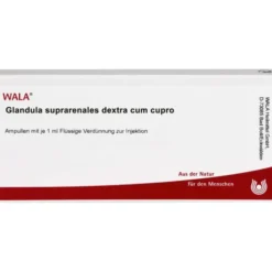 GLANDULA SUPRARENALES dextra cum Cupro Ampullen 10X1 ml
