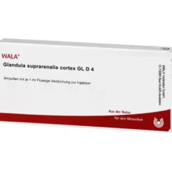 GLANDULA SUPRARENALIS cortex GL D 4 Ampullen 10X1 ml