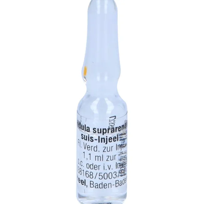 GLANDULA SUPRARENALIS suis Injeel Ampullen 10 St