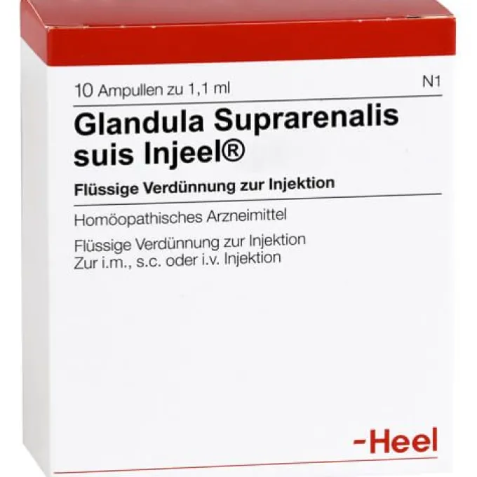 GLANDULA SUPRARENALIS suis Injeel Ampullen 10 St