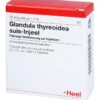 GLANDULA THYREOIDEA suis Injeel Ampullen 10 St