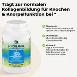 GLUCOSAMIN CHONDROITIN Kapseln 120 Stück