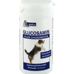 GLUCOSAMIN+CHONDROITIN Kapseln f.Hunde 60 St