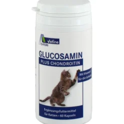 GLUCOSAMIN+CHONDROITIN Kapseln f.Katzen 60 St