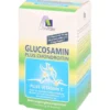GLUCOSAMIN 750 mg+Chondroitin 100 mg Kapseln 90 Stück