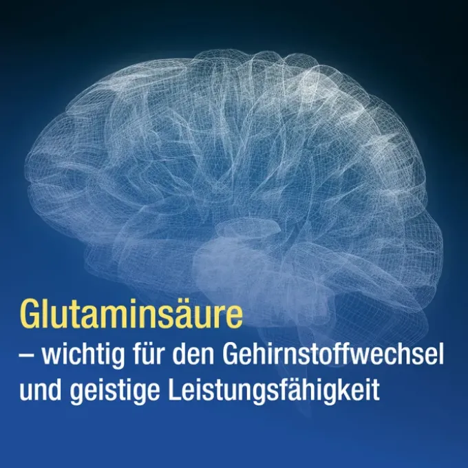 GLUTAMIN VERLA überzogene Tabletten 100 St