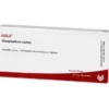 GNAPHALIUM COMP.Ampullen 10X1 ml