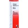 GRIPPE-GASTREU S R6 Mischung 22 ml