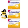 GRIPPOSTAD C Hartkapseln (3x24 St) + Pinguin Schlüsselanhänger 3 St  à 24 St