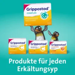 GRIPPOSTAD Complex ASS/Pseudoeph.500/30 mg Orange 10 St