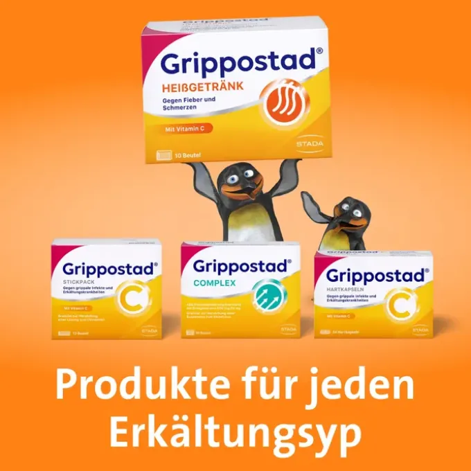 GRIPPOSTAD Heißgetränk Pulver 10 St