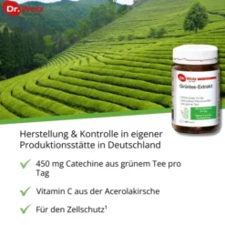 GRÜNTEE EXTRAKT Dr.Wolz Kapseln 120 Stück