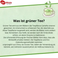 GRÜNTEE EXTRAKT Dr.Wolz Kapseln 120 Stück