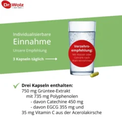 GRÜNTEE EXTRAKT Dr.Wolz Kapseln 120 Stück