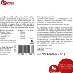 GRÜNTEE EXTRAKT Dr.Wolz Kapseln 120 Stück