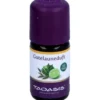 GUTE LAUNE Duft Bio ätherisches Öl 5 ml