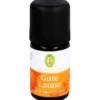 GUTE LAUNE Duftmischung ätherisches Öl 5 ml