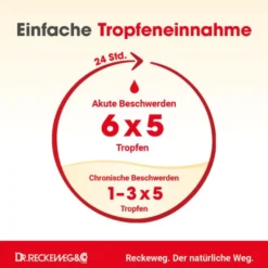 HAEMORRHOID-Gastreu N R13 Mischung 50 ml