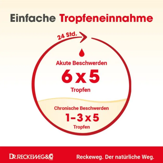 HAEMORRHOID-Gastreu N R13 Mischung 50 ml