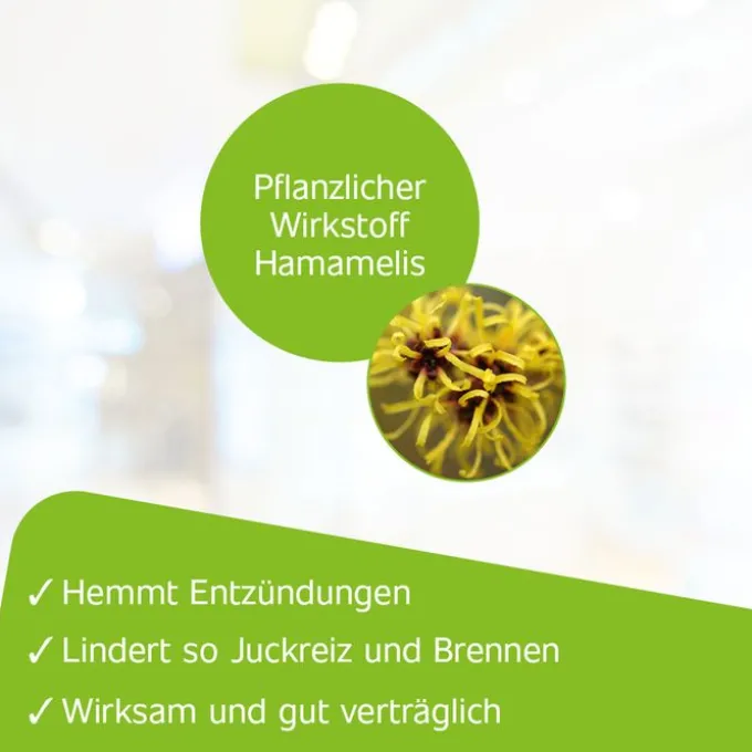 HAMETUM Hämorrhoiden Salbe 25 g