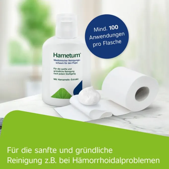 HAMETUM Reinigungsschaum 100 ml