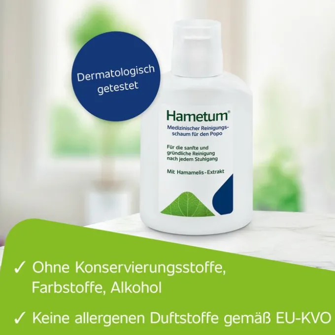HAMETUM Reinigungsschaum 100 ml