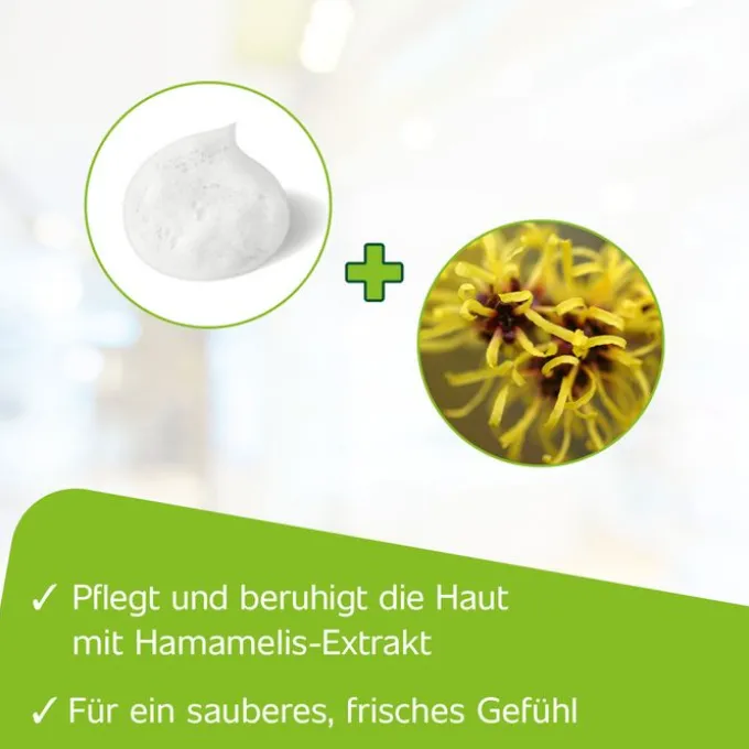 HAMETUM Reinigungsschaum 100 ml