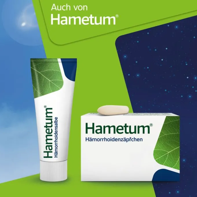 HAMETUM Reinigungsschaum 100 ml