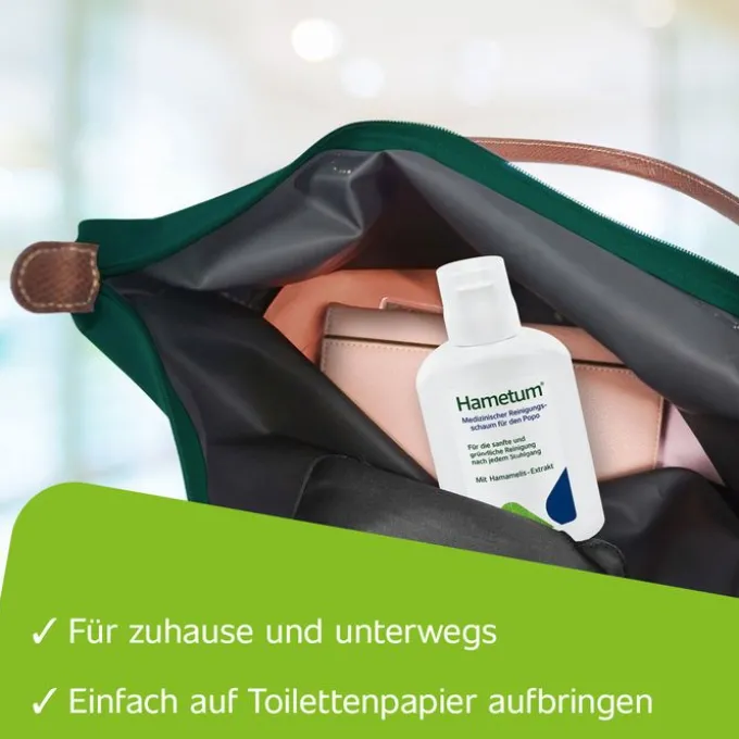 HAMETUM Reinigungsschaum 100 ml