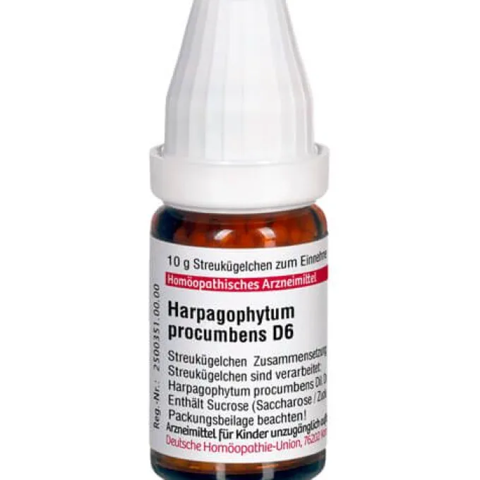 HARPAGOPHYTUM PROCUMBENS D 6 Globuli 10 g