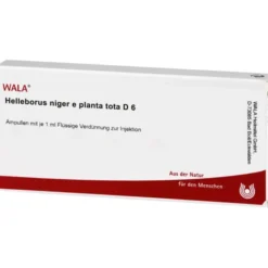 HELLEBORUS NIGER e planta tota D 6 Ampullen 10X1 ml