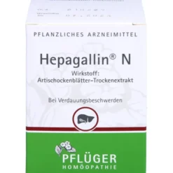 HEPAGALLIN N Dragees 100 St