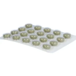 HEPAR PASC Filmtabletten 100 St