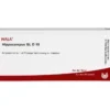 HIPPOCAMPUS GL D 15 Ampullen 10X1 ml