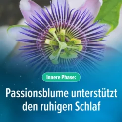 HOGGAR Melatonin DUO Einschlaf-Kapseln 30 Stück