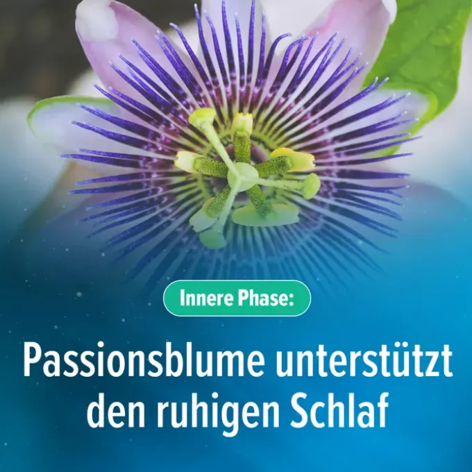 HOGGAR Melatonin DUO Einschlaf-Kapseln 30 Stück