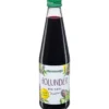 HOLUNDERSAFT Bio Schoenenberger 330 ml