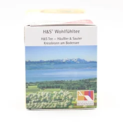 H&S Bio Ingwer-Curcuma Filterbeutel 20 Stück