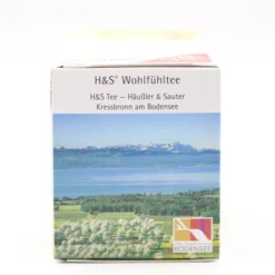 H&S Bio Ingwer Filterbeutel 20 Stück
