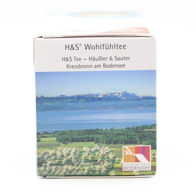 H&S Bio Mate-Minze Filterbeutel 20X1,8 g