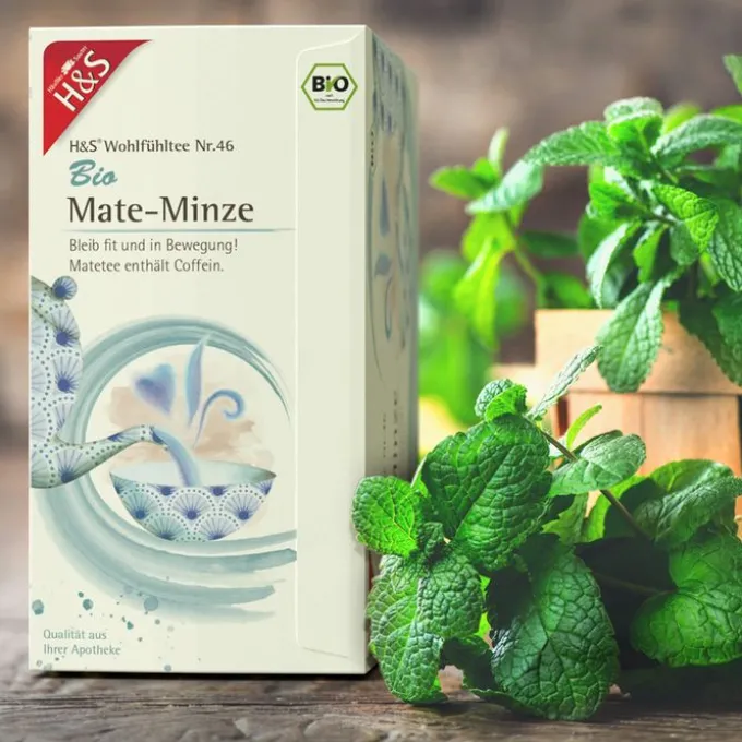 H&S Bio Mate-Minze Filterbeutel 20X1,8 g