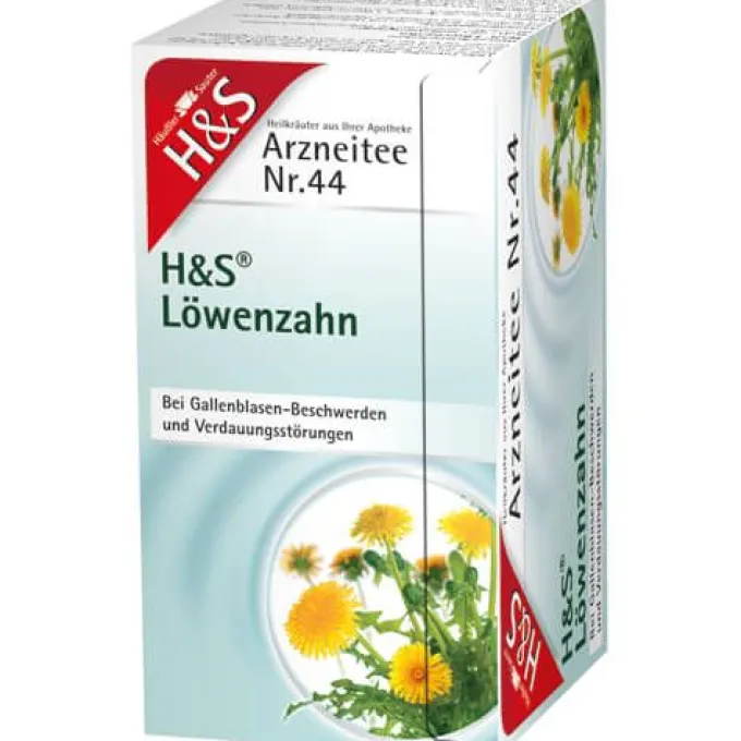 H&S Löwenzahn Filterbeutel 40 g