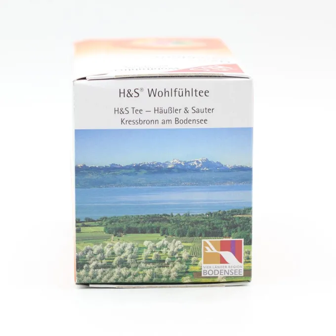 H&S Sanddorn m.Vitamin C und Selen Filterbeutel 20 Stück