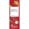 HYPERICUM D 12 Globuli Pflüger Globulispender 10 g