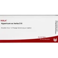 HYPERICUM EX Herba D 6 Ampullen 10X1 ml