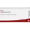 HYPOTHALAMUS GL D 6 Ampullen 10X1 ml