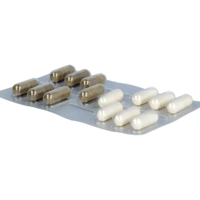 IBEROBIOTICS Zen Kapseln 28 Stück