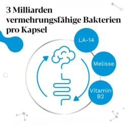 IBEROBIOTICS Zen Kapseln 28 Stück