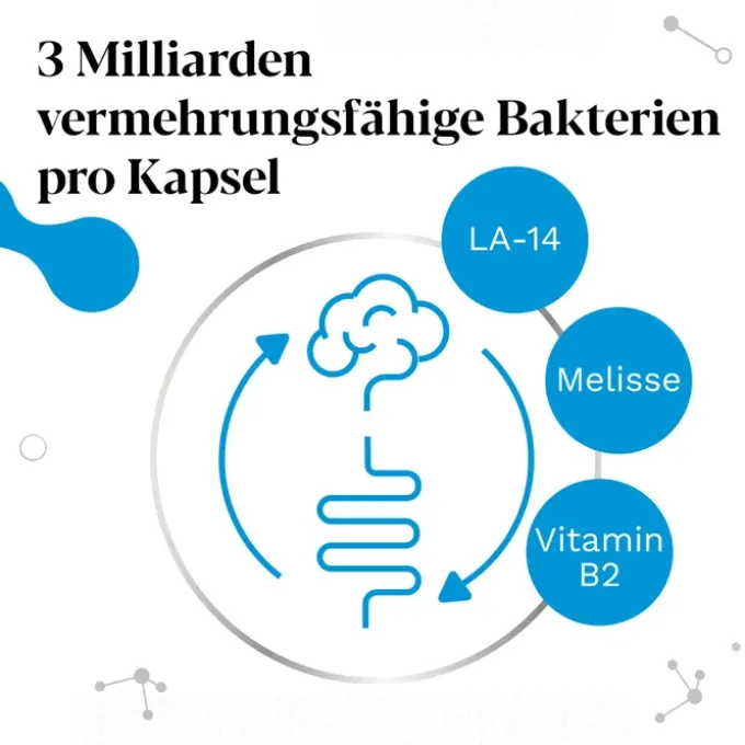 IBEROBIOTICS Zen Kapseln 28 Stück